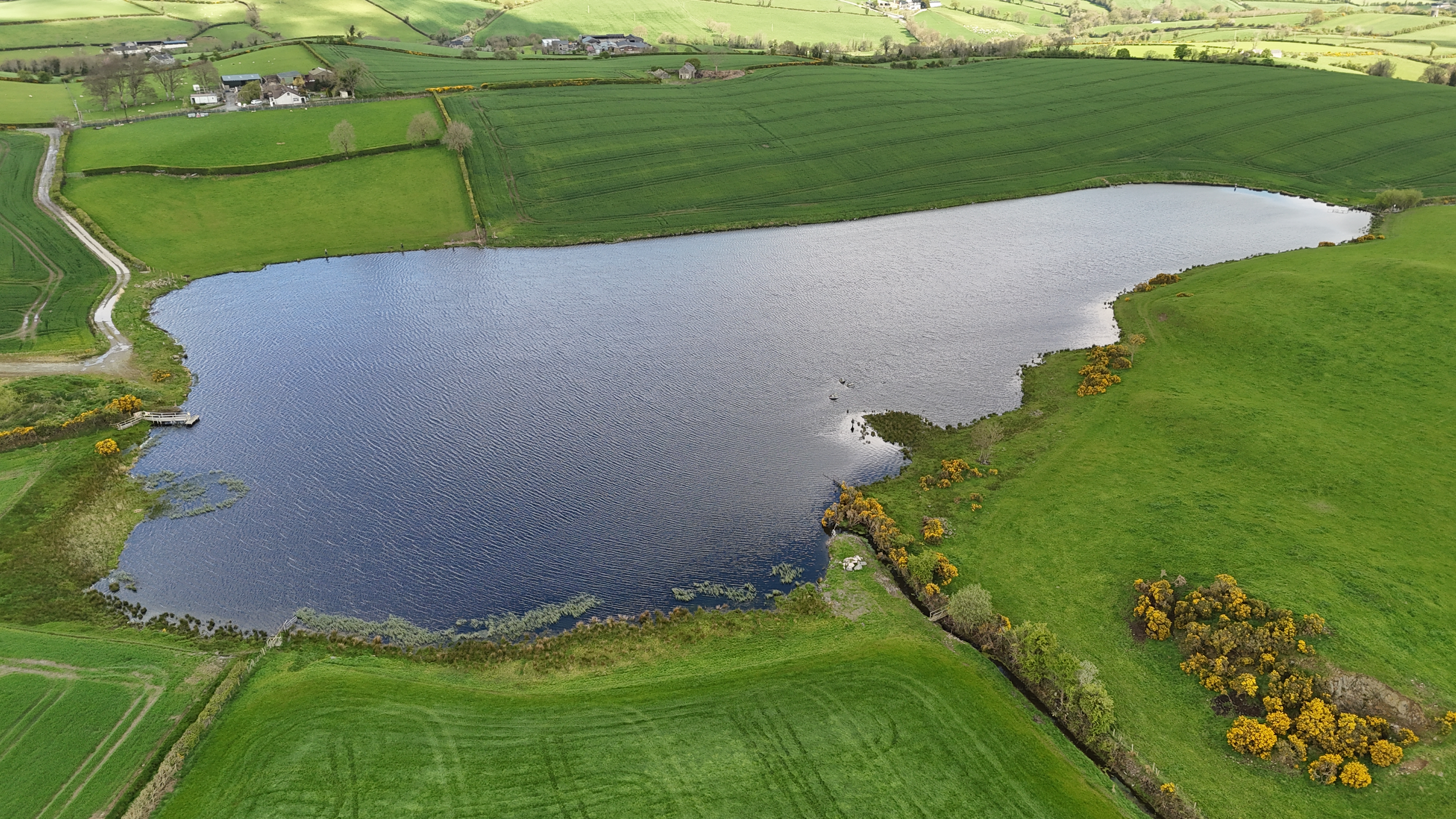 McCourts's Lake